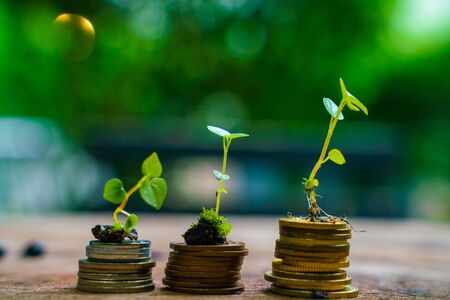 Life Insurance vs Endowment Plan: Which is Better for Indians?