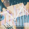 IPO Investment Guide: Tips for Retail, HNI & QIB Investors in India