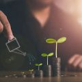 Choosing US Dividend Stocks for Regular Income: Top Picks & Insights for Indians