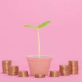 Hedge Fund Investment Guide for Beginners in India